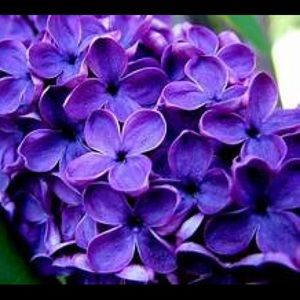 💫⭐️thanks for shopping with us!⭐️💫@magnaplus55